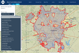Business Analyst Application Screenshot
